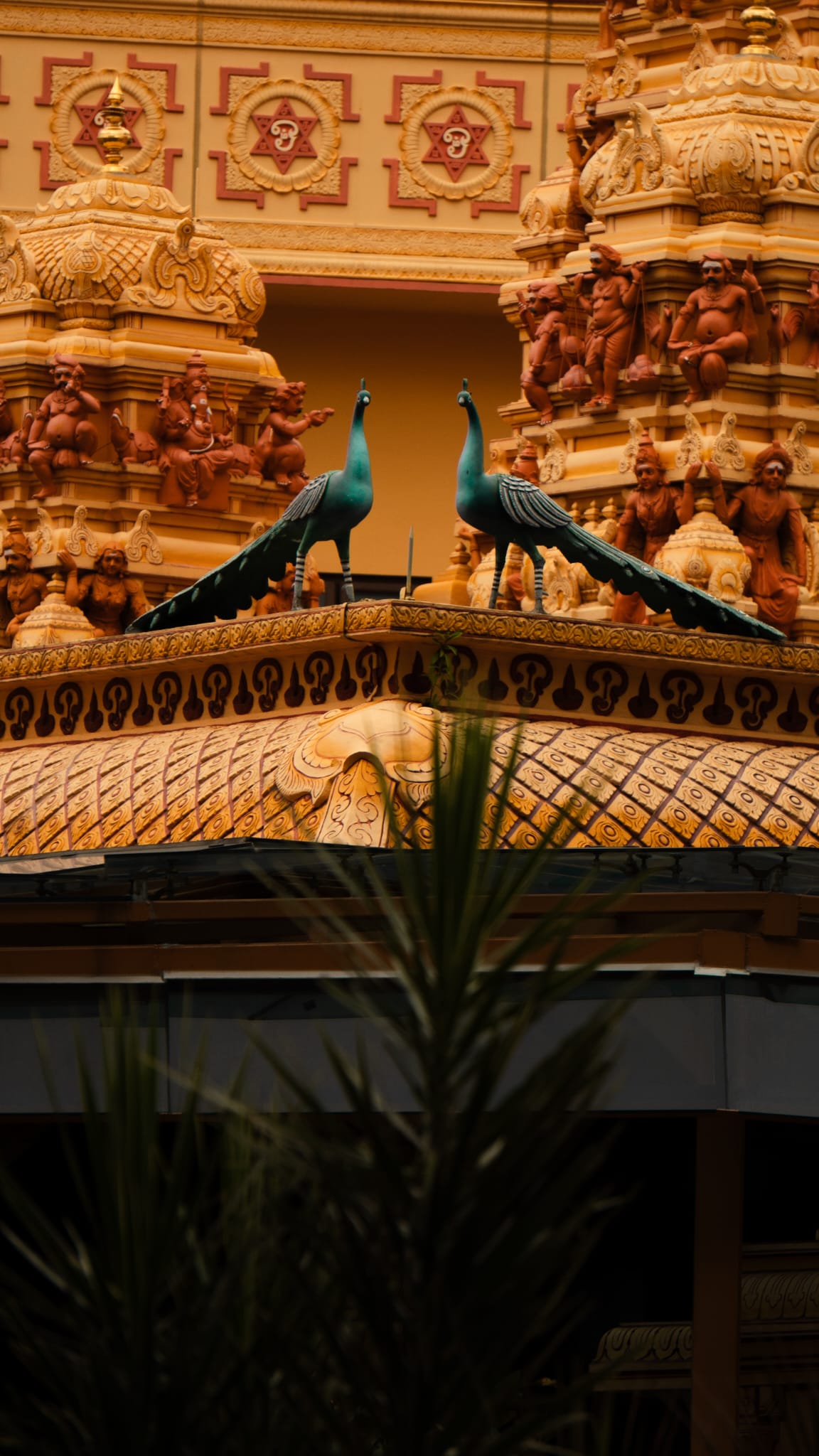 Temple Festival Coverage — frame 2