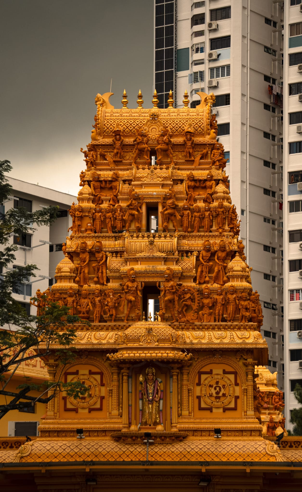 Temple Festival Coverage — frame 3